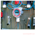 在线有机气体检测仪RAEGuard2 PID